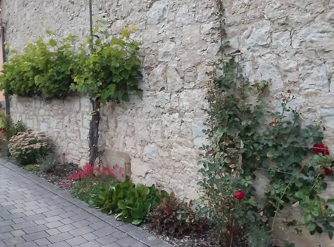 公寓 Koerner Im Weinparadies Seinsheim